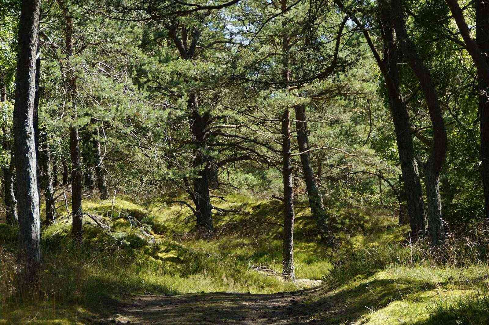 Sentier côtier, paysage littéraire, carnet posé au sol