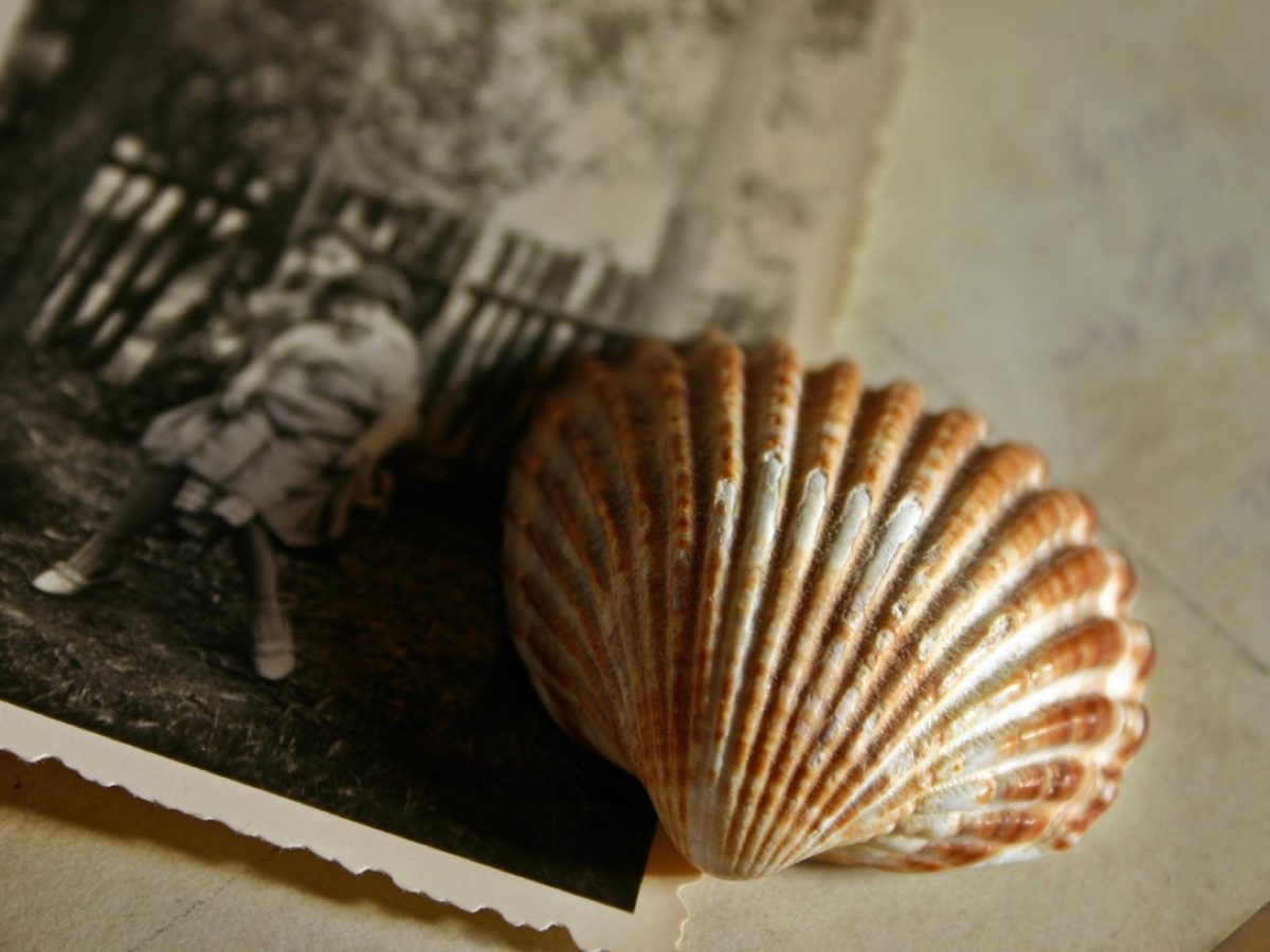 Album‑photo de voyage et scrapbooking : guide pratique
