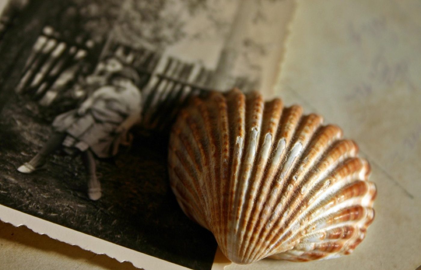 Album‑photo de voyage et scrapbooking : guide pratique