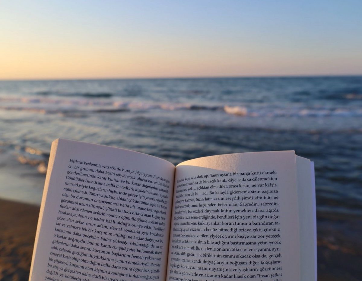 Bibliographie de romans de mer incontournables