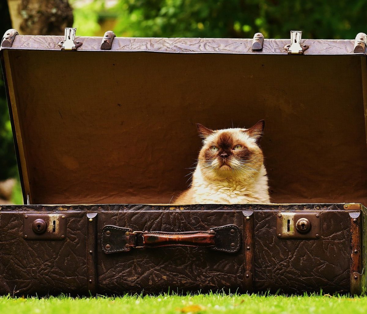 Constituer une bibliothèque de voyage : guide pratique
