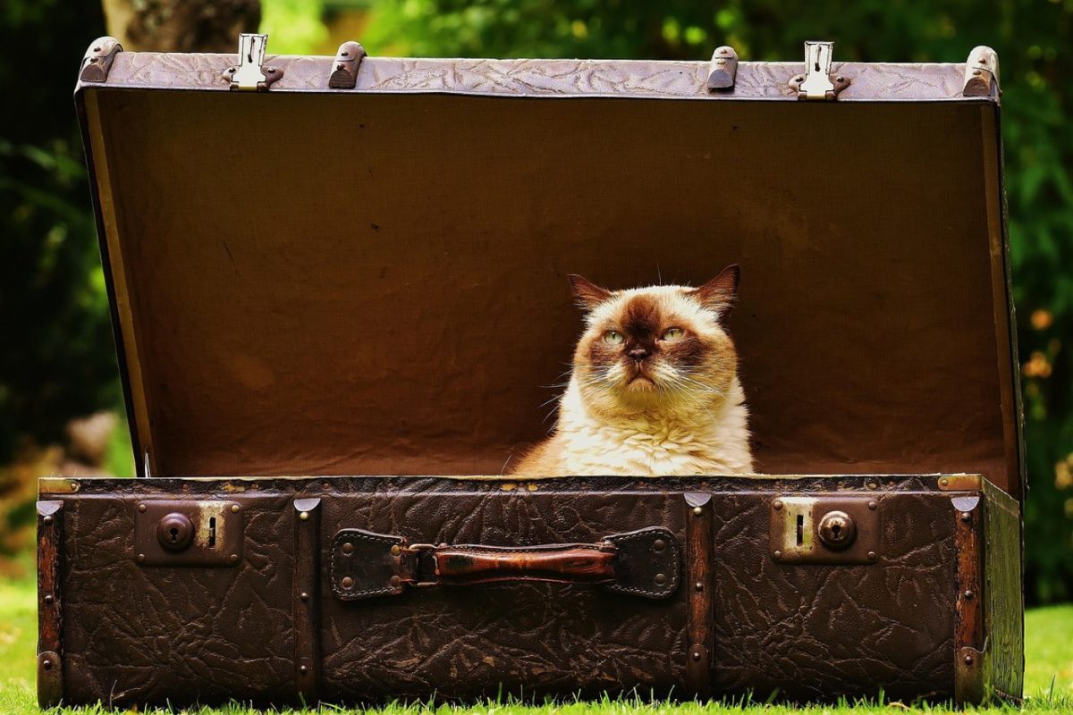 Constituer une bibliothèque de voyage : guide pratique