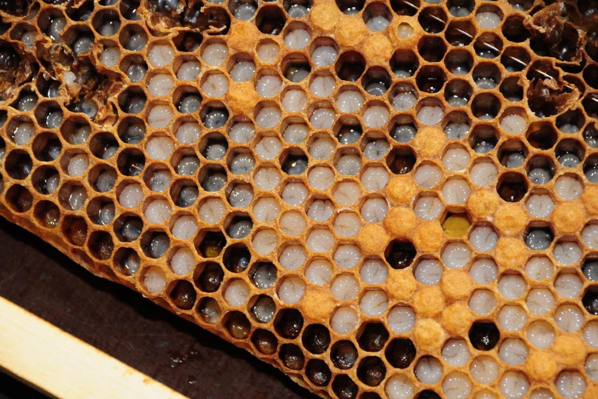 Déclaration de sinistre habitation : étapes à suivre
