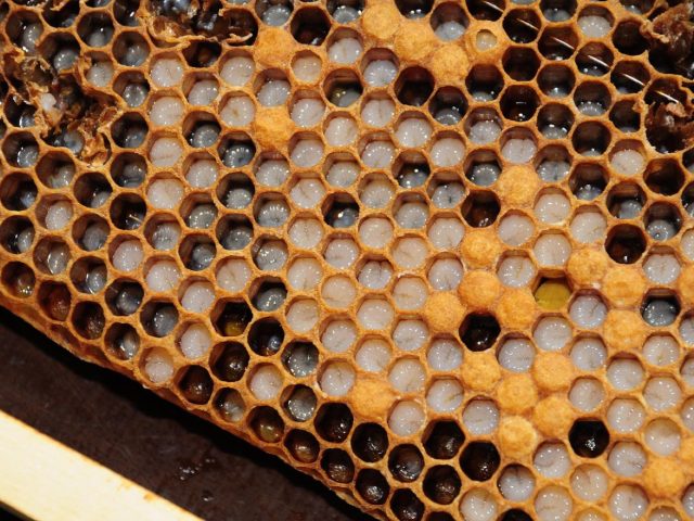 Déclaration de sinistre habitation : étapes à suivre