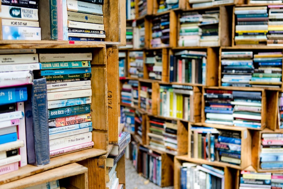 Gallimard ou Flammarion : quelle édition pour un livre de voyage