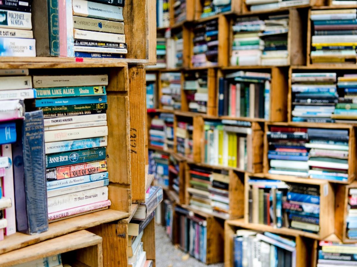 Gallimard ou Flammarion : quelle édition pour un livre de voyage