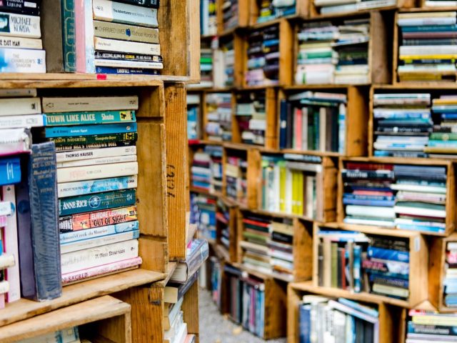 Gallimard ou Flammarion : quelle édition pour un livre de voyage