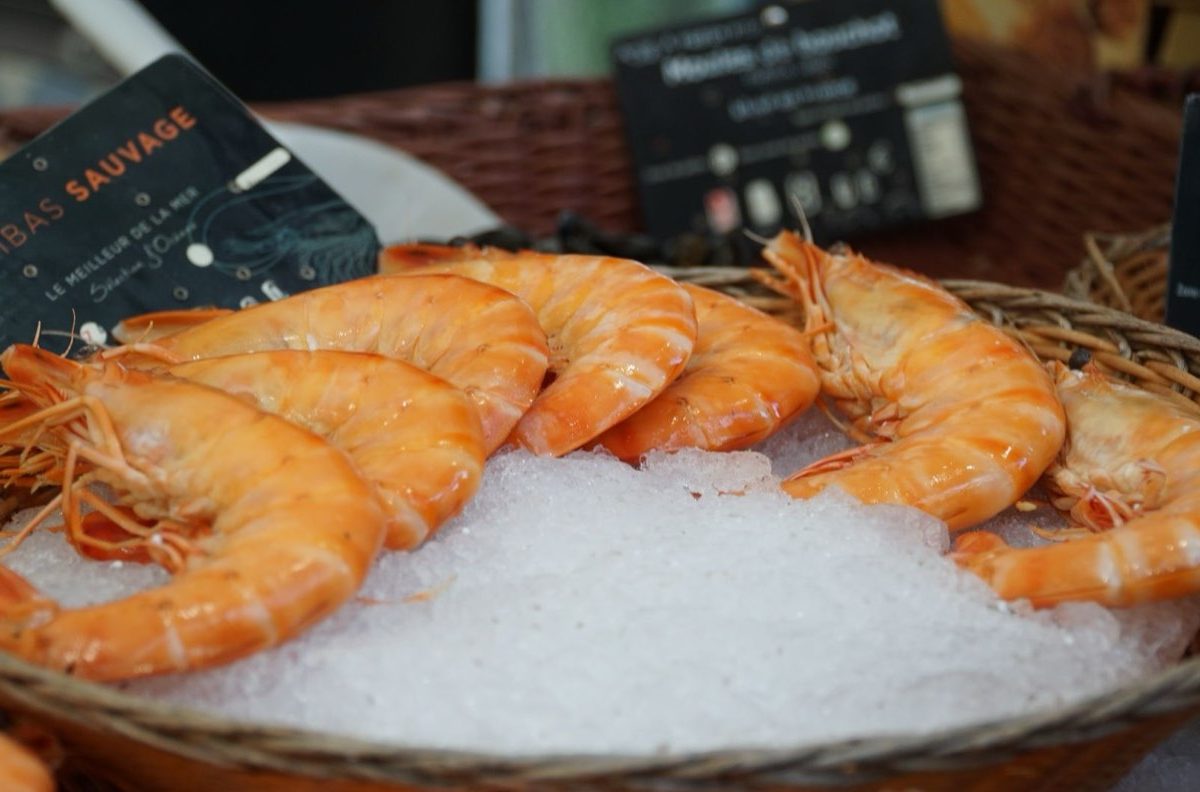 Meilleures recettes pas chères pour repas quotidiens