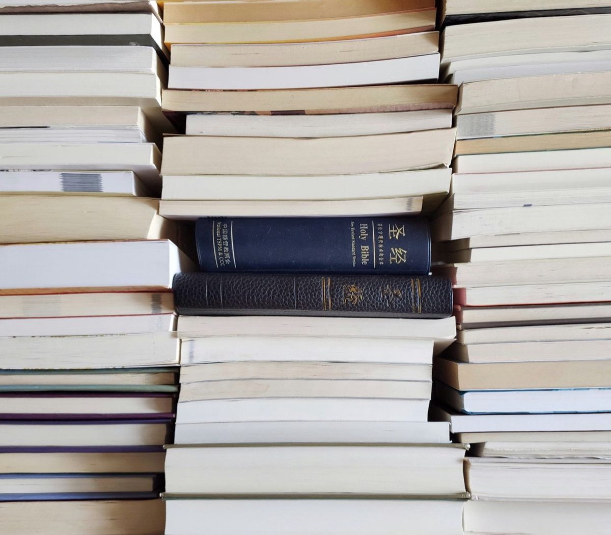 Poche ou Folio : choisir pour la lecture itinérante