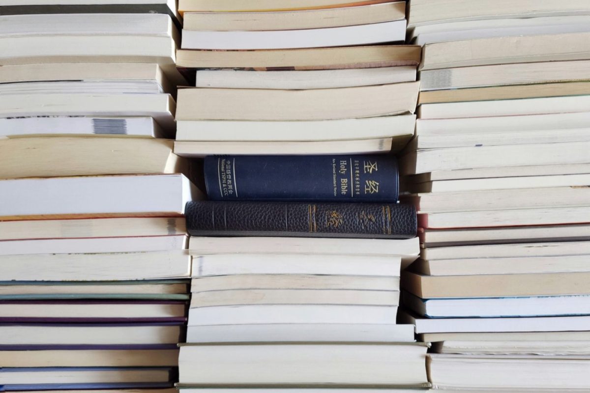 Poche ou Folio : choisir pour la lecture itinérante