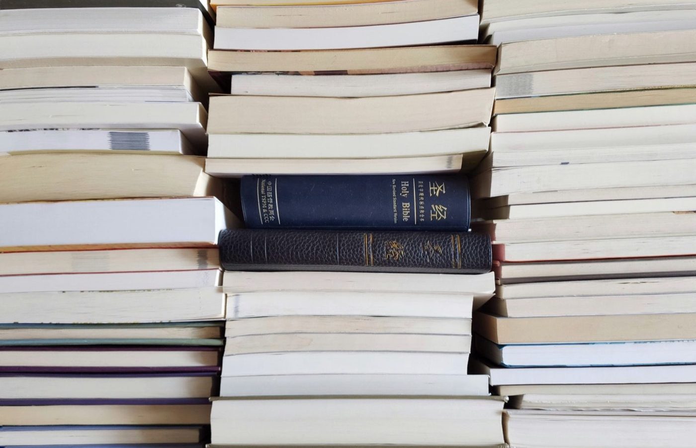 Poche ou Folio : choisir pour la lecture itinérante