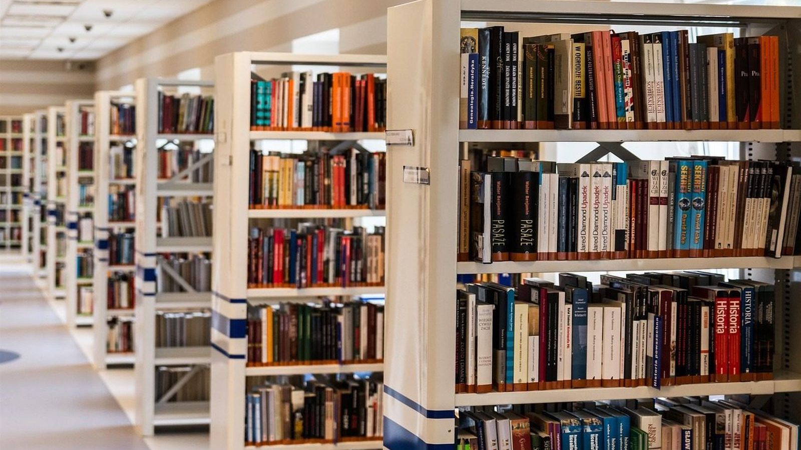 Salon du livre et de la presse jeunesse à Montreuil 2026